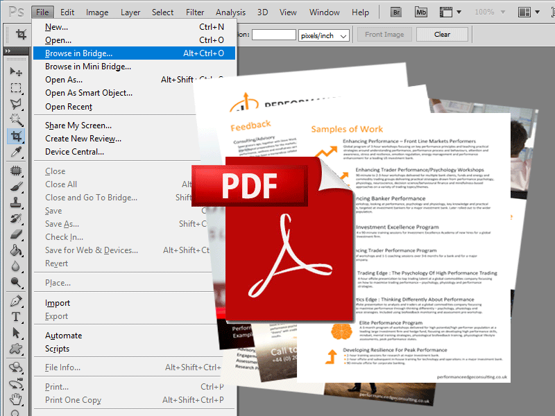 coutput pdf from jpegs in adobe bridge cs5