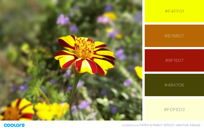 Yellow Color Scheme in hex numbers