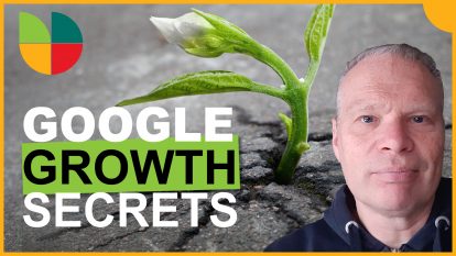 small business growth with Google